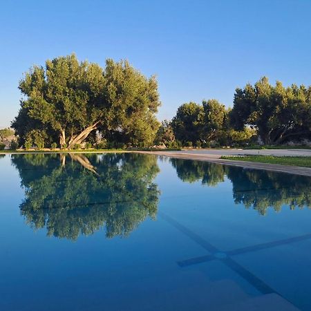 Villa Coriandre As-Sawíra Exteriér fotografie